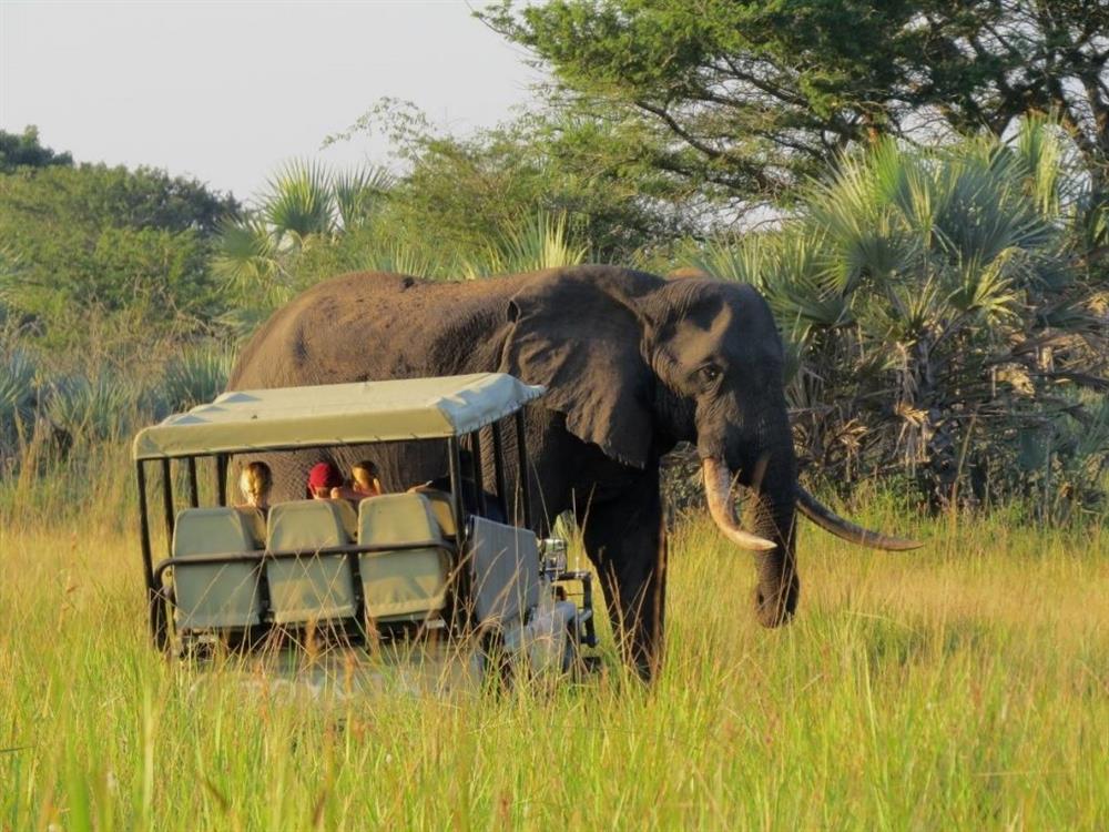 Tembe Elephant Camp